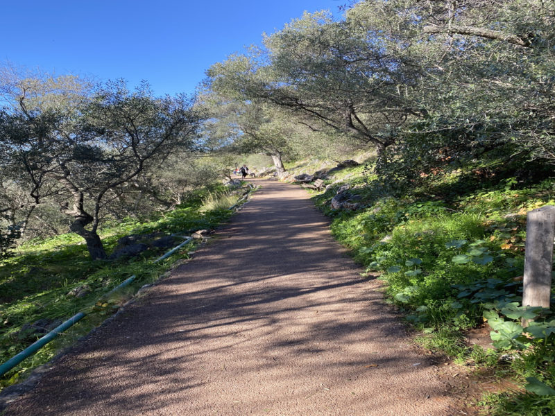 Sentier-Mt-Boron